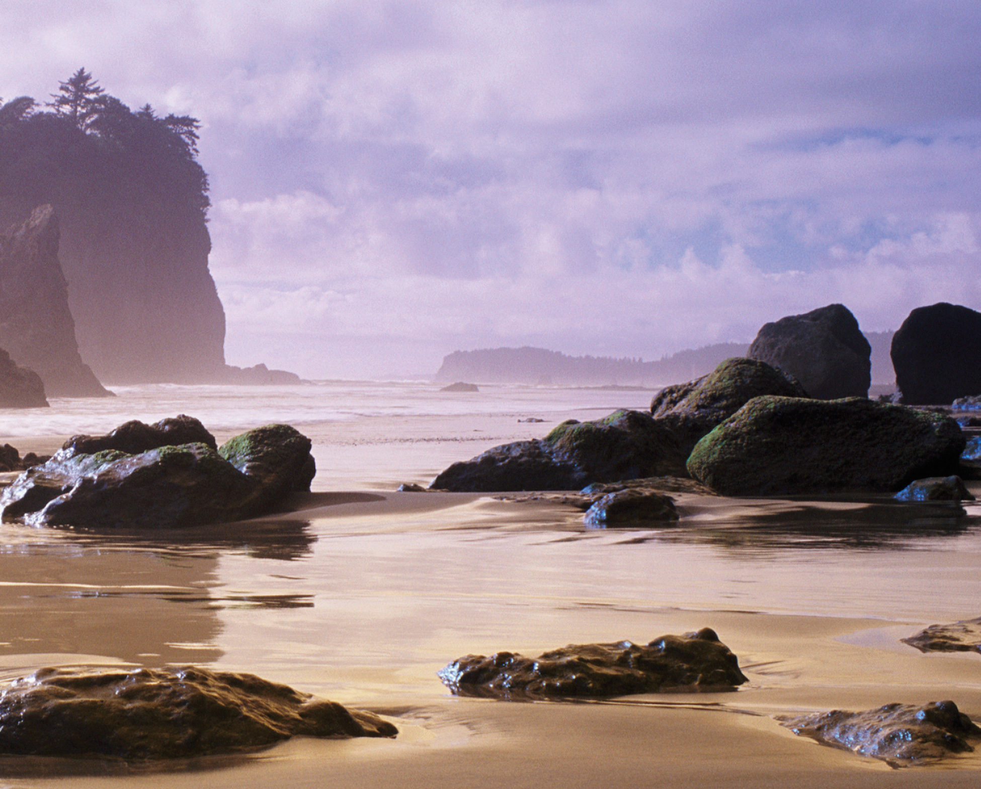 kalaloch beach