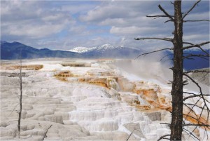 Mammoth Hot Springs