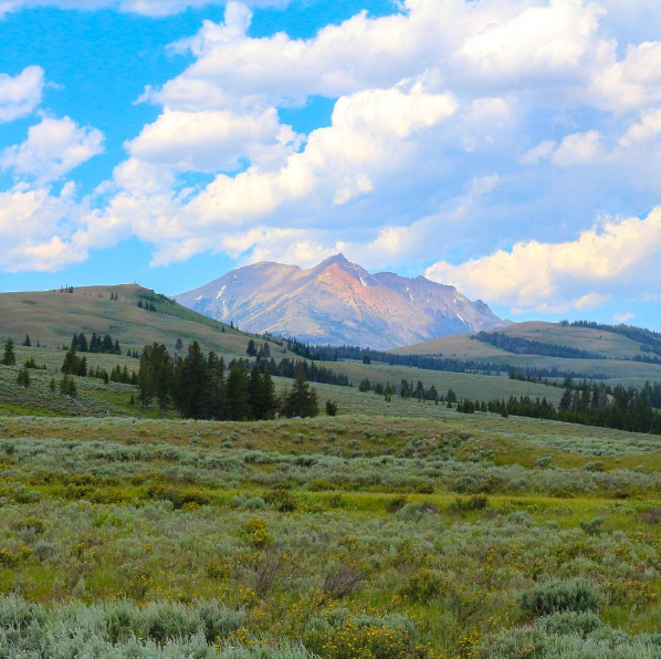 Delaware North at Yellowstone Films New GreenPath Video